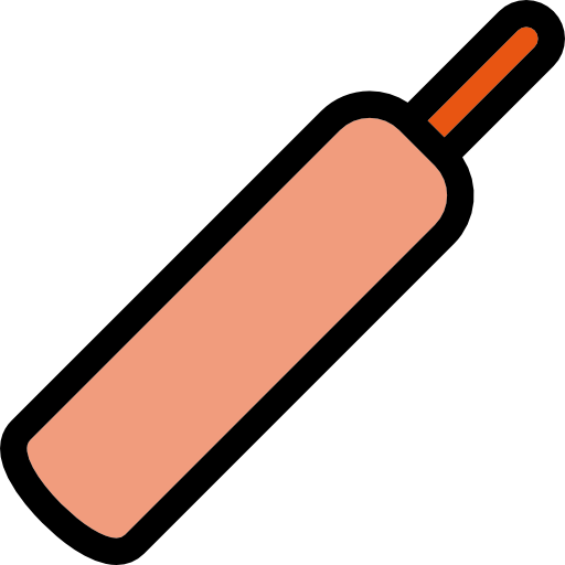 Cricket bat